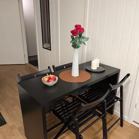 Close To Center And Airport Apartment